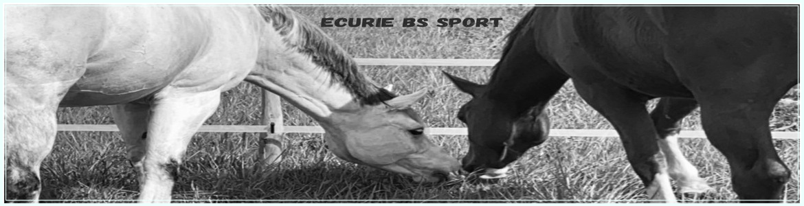 Ecurie BS Sport